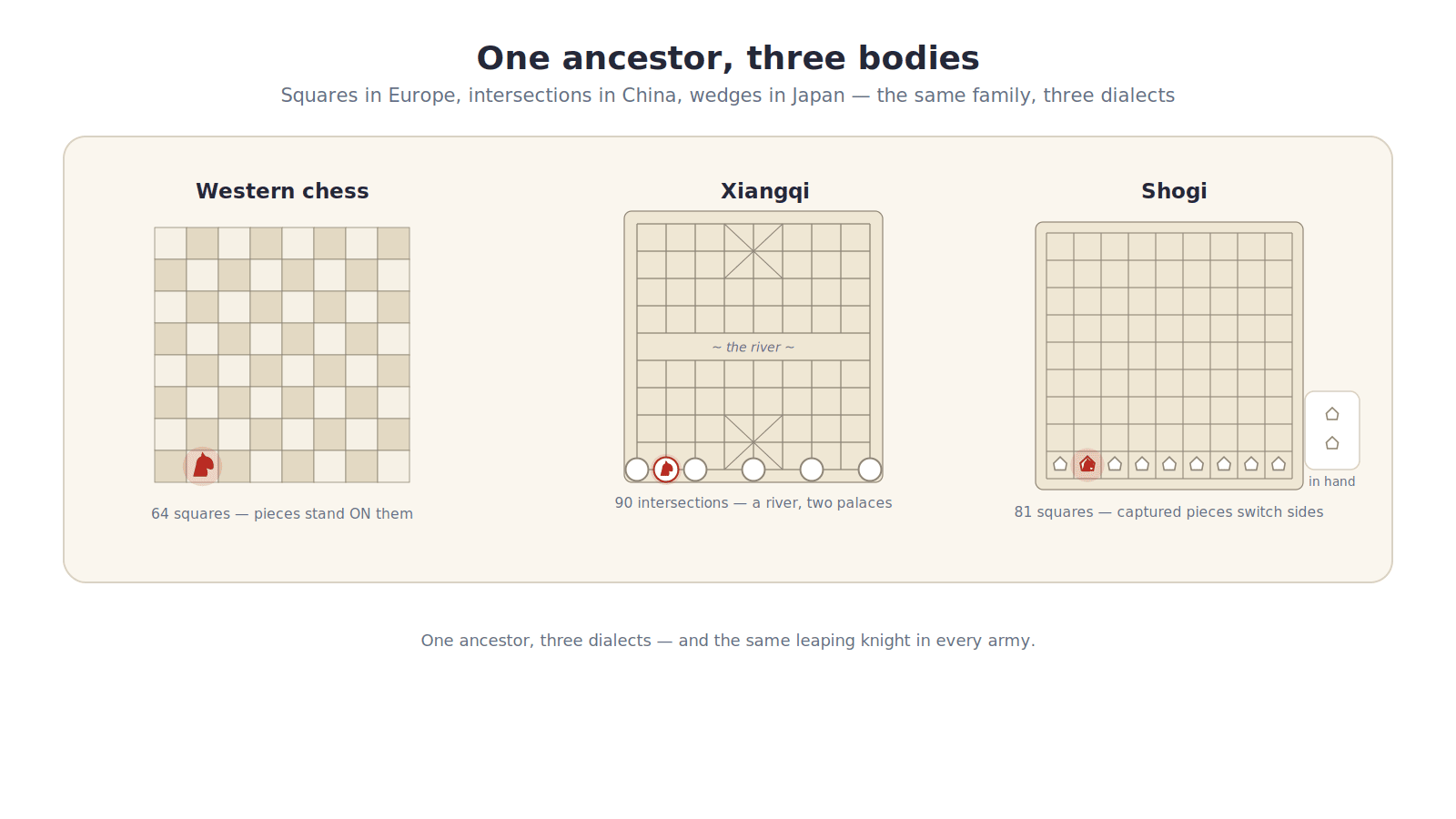 Three small boards side by side on a warm cream card, labeled Western chess, Xiangqi, and Shogi. The chess board is an 8-by-8 checkered grid with a knight highlighted in red. The xiangqi board shows pieces on line intersections with a blank river band across the middle and a marked 3-by-3 palace, its horse piece highlighted. The shogi board is a plain 9-by-9 grid of wedge-shaped pieces all pointing away from the viewer, its knight highlighted, with two small captured wedges shown waiting in hand beside the board. A note underneath reads: one ancestor, three dialects - the same leaping knight in every army. Flat minimalist style, site red and blue on light background.
